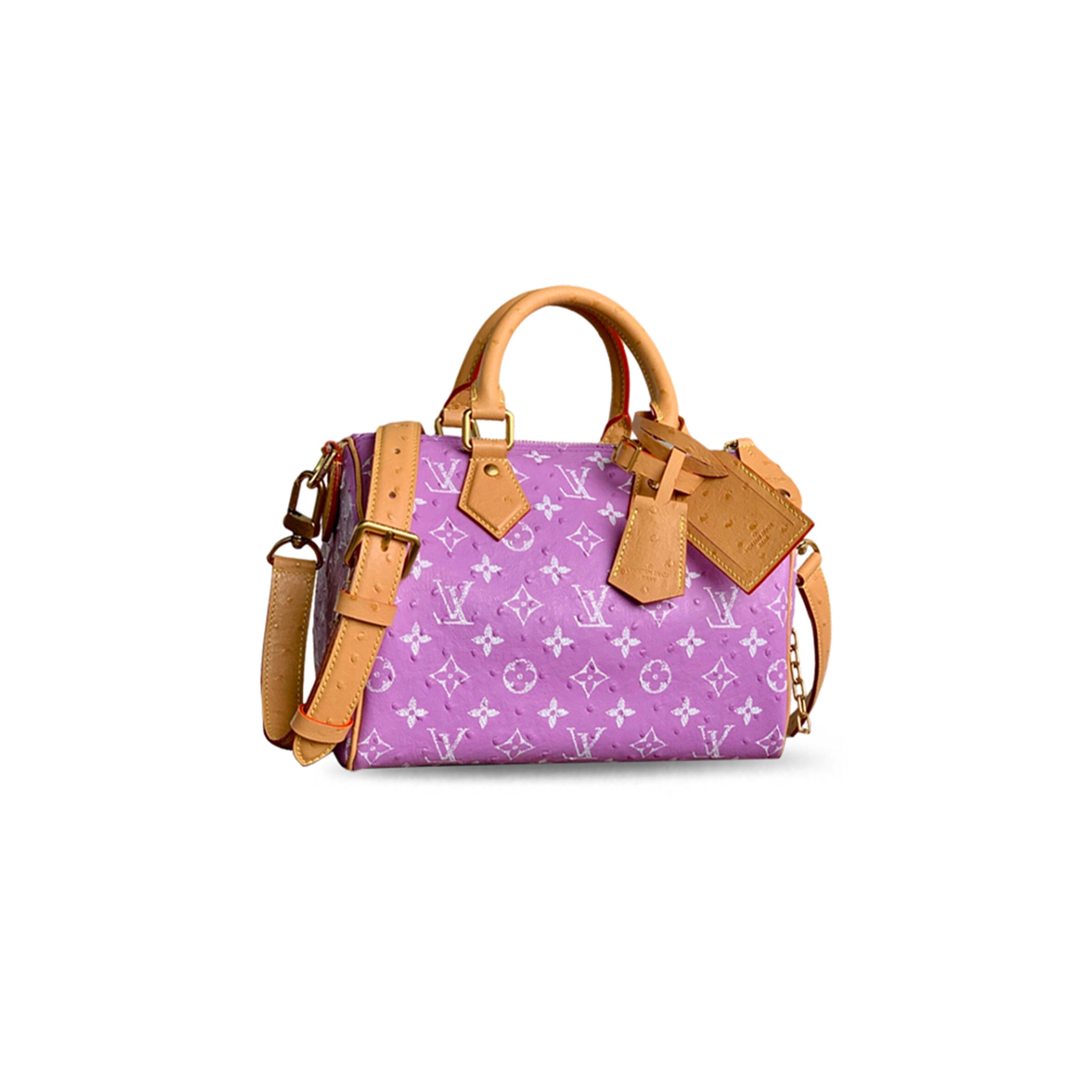 LOUIS VUITTON SPEEDY P9 BANDOULIÈRE 25 M24437 (25*15*15cm)